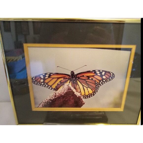 2) Framed Monarch Butterfly Picture + Hot Plate Trivet Wall Decor Butterfly Tile - Picture 7 of 10